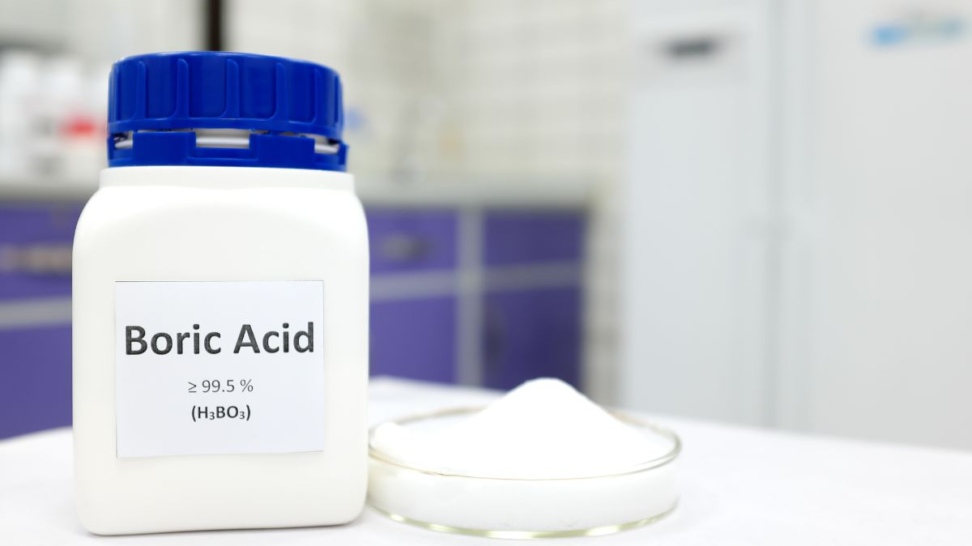 Everything-You-Need-To-Know-About-Boric-Acid