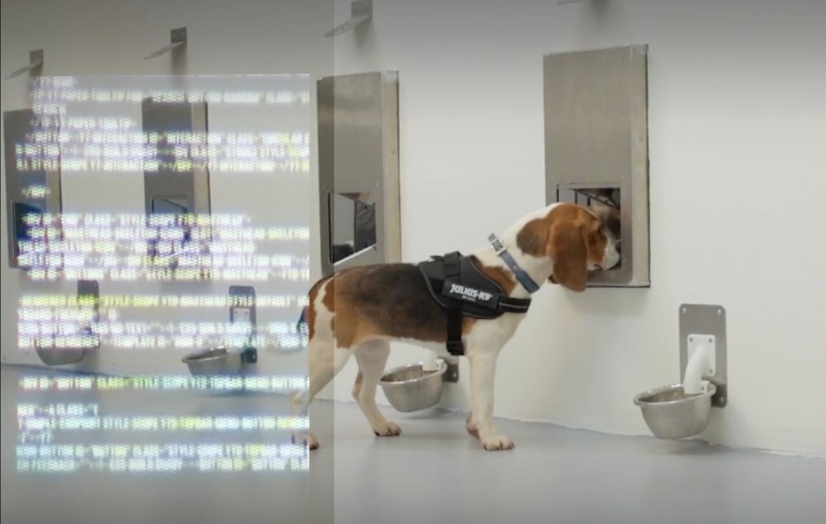 SpotitEarly Raises $20.3M to Launch AI and Dog-Powered Breast Cancer Detection Technology in the U.S.