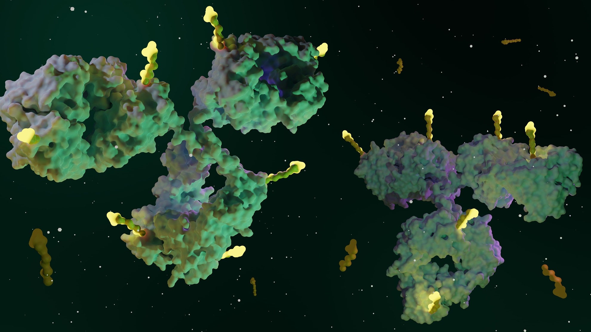 Holding Hands: Using Peptide-Drug Conjugates (PDCs) for the Precise Treatment of Pulmonary Fibrosis